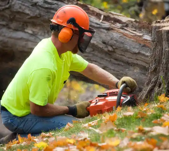 tree services Folsom